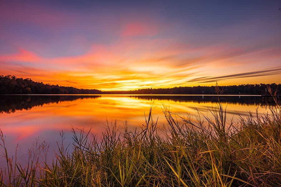 Houston, MS Insurance - Small Lake Ablaze With Color at Sunset, Tall Grass On the Shores